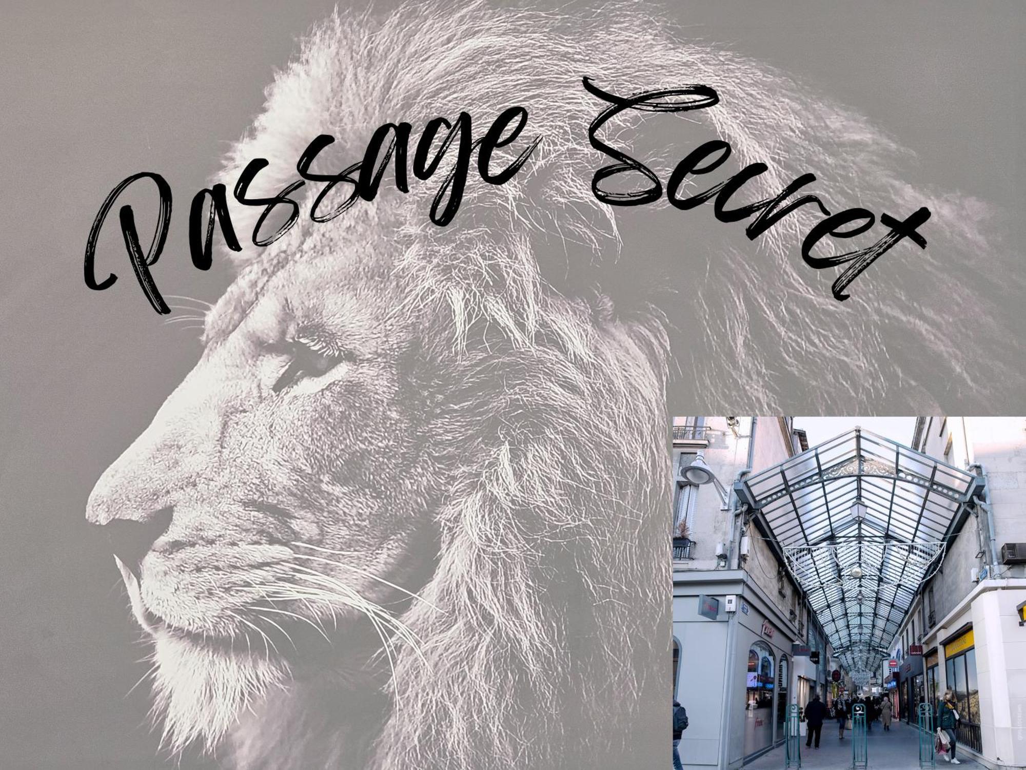 Passage Secret - Ideal Pro, Couples, Familles & Amis - Le Calme En Hypercentre - Wifi Haut Debit - Netflix - Machine A Laver - Gare, Cathedrale, Commerces, Restaurants & Transports En Commun A Moins De 10 Minutes A Pied Реймс Екстериор снимка